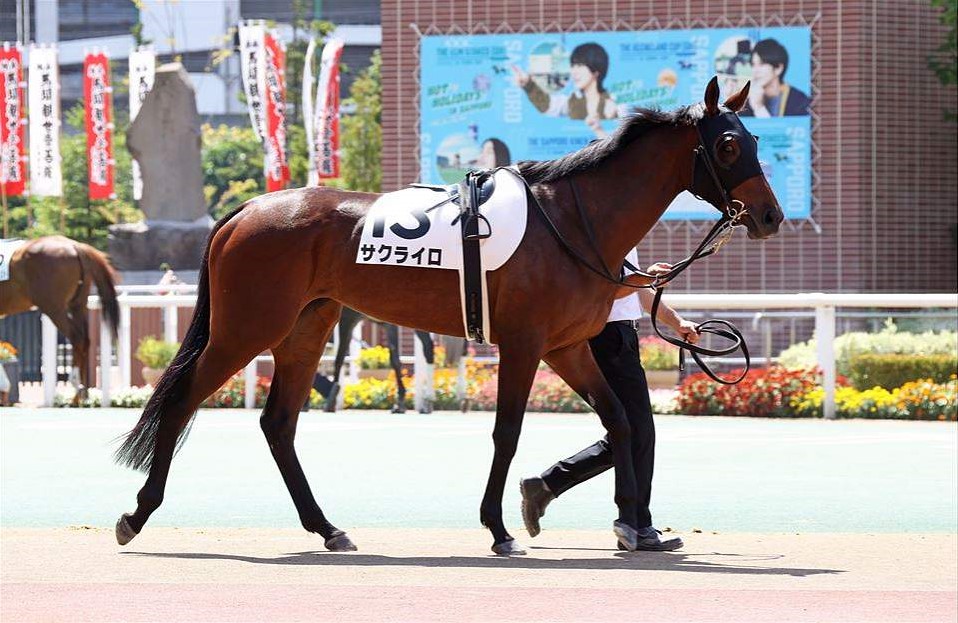 キャロットクラブ引退馬一覧 一口馬主やっており〼